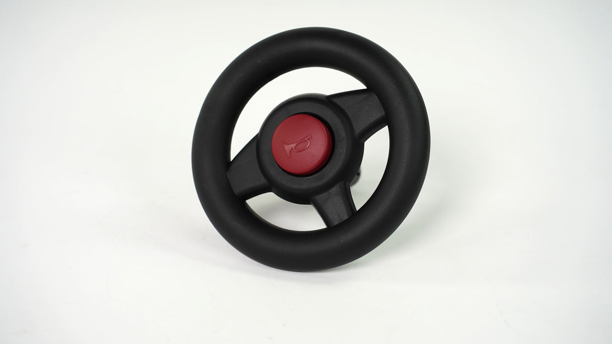 STEERING WHEEL ASSY - 603Z